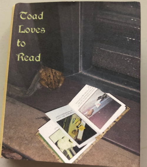 Toad Loves to Read